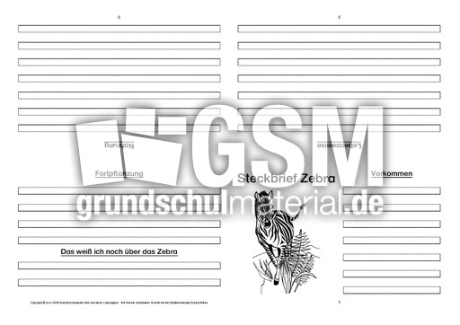 Zebra-Faltbuch-vierseitig-2.pdf